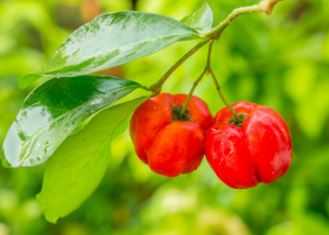 Por qué es importante la vitamina C
