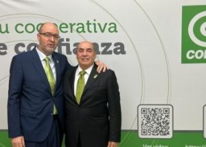 Cofano