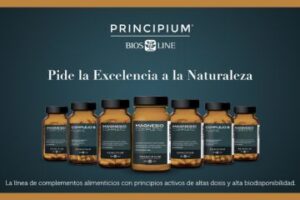 Principium